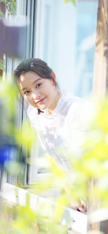 13p手机在线视频,探索科技与娱乐的完美融合