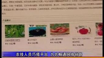 在线视频541.com,探索神秘在线视频平台的奥秘