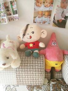 布偶娃娃在线视频,在线视频带你领略萌宠风采