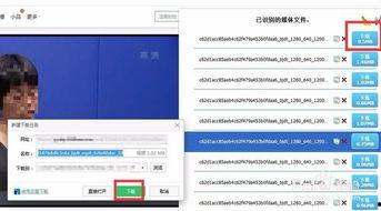如何获取在线视频下载,在线视频下载攻略全解析
